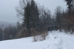 p1090012
