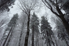 p1090034